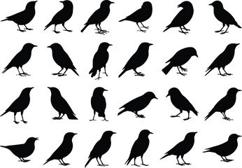 Bird silhouettes, black bird icons, flying poses, perched shapes, avian profiles, isolated set, wildlife graphics, nature symbols, feathered forms