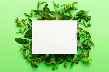 Wreath frame made of empty paper blank with space for text and mint leaves on colored background. . Mint Pattern. Flat lay. Top view