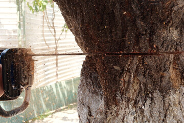 Chainsaw in action for cutting wood. worker cuts a tree trunk into logs with a saw. Close-up of a saw in motion, sawdust flying to the sides. Woodworking, wood cutting tools, wood