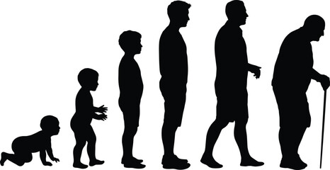 Human life stages silhouette, aging progression, black vector figures, male development chart, posture evolution, educational biology illustration