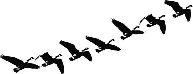 Vector Silhouette of a Flock of Geese or Ducks Flying in a V-Formation, Illustrating Migration, Teamwork, Direction, and the Natural Movement of Wildlife in the Sky