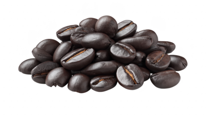 Coffee bean roasted brown aromatic caffeine isolated food ingredient closeup natural energy macro fresh organic texture agriculture gourmet dark breakfast drink seed healthy flavor raw background