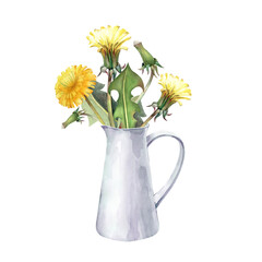 A bouquet of yellow dandelions in a white ceramic jug. Watercolor illustration on an isolated background. Realistic wildflowers for summer design.