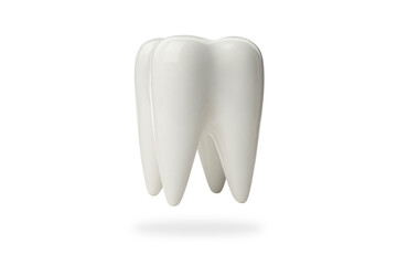 Tooth model for dental education, isolated, PNG