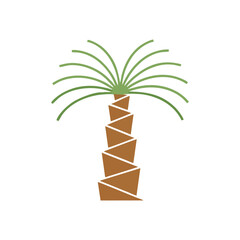 vector illustration of a palm tree