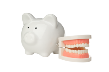 Piggy bank beside dental model promotes savings, isolated, PNG
