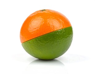 Citrus hybrid orange top, green bottom, isolated on white