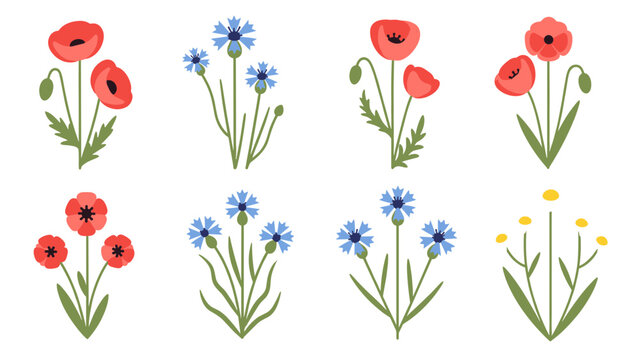 Collection of stylized floral illustrations featuring red poppies, blue cornflowers, and yellow wildflowers on a white background.