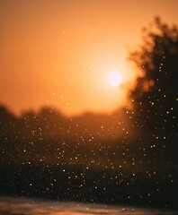 Water droplets silhouette against golden sunset nature photography calm environment close-up view