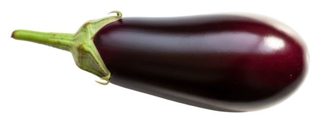 Harvesting fresh eggplant farm field food organic