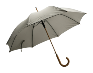 Rainy day essentials umbrella urban product