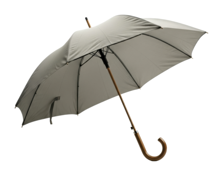 Rainy day essentials umbrella urban product