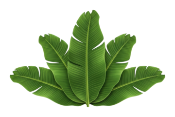 Vibrant green leaves arrangement nature scene digital