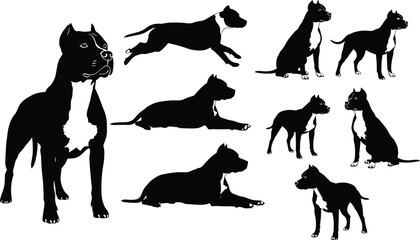 Dog silhouette poses set, black dog icons, sitting, standing, walking, running, lying down, breed anatomy, pet vector illustration
