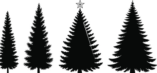 Evergreen tree silhouette vector, coniferous forest icons, Christmas tree with lights, festive nature illustration, black pine tree design set © Creative Asif