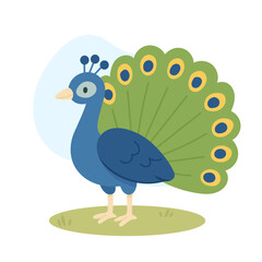 Cartoon Indian peacock vector illustration. Cute Indian peacockl isolated on white background.