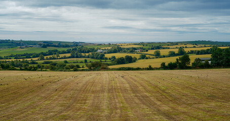 Harvested land becomes a carpet of gold leading toward green hills, all under a moody sky. © Oleksii
