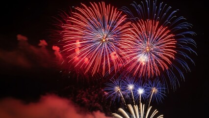 Fototapeta premium Fireworks display over night sky