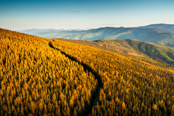 Golden autumn hues blanket the hills and a winding path is visible through the dense wild forest create a cozy atmosphere.
