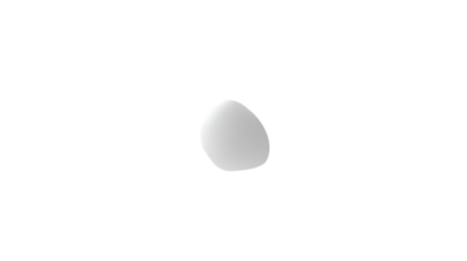 A small, smooth, light gray, slightly irregular oval shape rendered with soft shading, isolated on transparent background