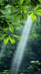 Close-up of vibrant green leaves in a forest setting, with sunlight streaming through, creating a serene and natural atmosphere.