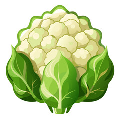 Fresh cauliflower with vibrant green leaves, a delicious ingredient for healthy meals and dietary plans, perfect for culinary creations and promoting wellness initiatives