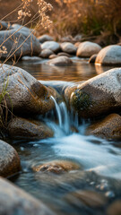 stream in the forest