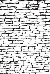 Stone Wall Texture in Black and White Graphic Style