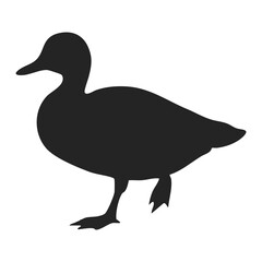 Small duck silhouette waddling softly across plain white background