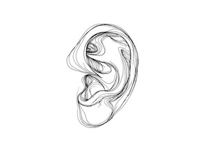 Human ear 2D vector line art in a clean minimalist style for modern design