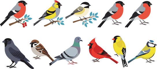 Obraz premium Colorful garden and songbird illustration set featuring perched birds, branches, berries, forest wildlife species, and cute flat vector animal designs