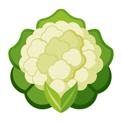 Fototapeta premium Fresh cauliflower vegetable illustration for healthy eating campaign, vibrant food concept for culinary designs, promoting vegan lifestyle and farm-to-table freshness