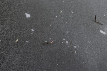 Frozen Pond Water With Scattered