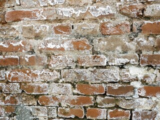 Close-up texture of an old, weathered red brick wall covered in white residue, likely efflorescence or saltpeter. Detailed, rustic, grunge background for design.
