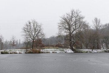 Frozen Pond Reflecting Overcast Sky