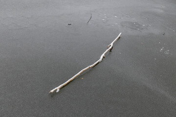 Branch Frozen Clear Ice Surface