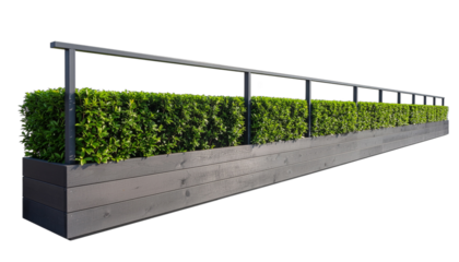 Linear dark wooden planter box showcasing a perfectly manicured vibrant green hedge, accented by a contemporary black metal railing, ideal for defining sophisticated urban patios and commercial spaces