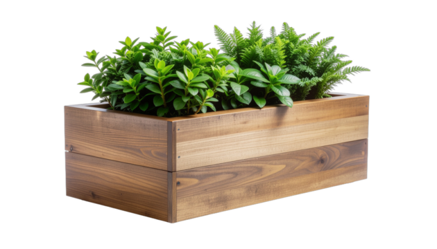 Cultivating vibrant, lush green plants in a stylish wooden planter box, embodying the essence of Sustainable Urban Gardening for modern eco-friendly living and home decor