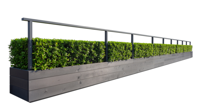 Linear dark wooden planter box showcasing a perfectly manicured vibrant green hedge, accented by a contemporary black metal railing, ideal for defining sophisticated urban patios and commercial spaces