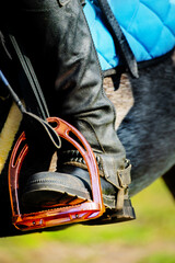 close-up of a brightly colored stirrup, with a rider's booted and cuisse-clad foot and a dressage whip in it. Photographed on a sunny day during equestrian training