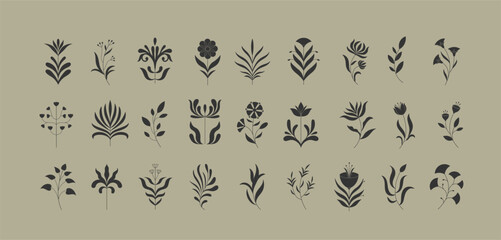 Fototapeta premium Set of simple geometric branch and flowers. Botanic silhouette, wavy and boho elements. Leaves and branches print for logo, or packaging