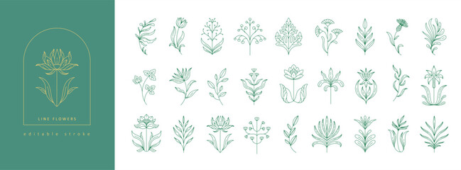 Set of boho simple geometric branch and flowers. Botanic design elements in wavy and vintage style. Leaves and branches print for logo, social media or packaging