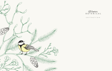 Christmas greeting card with winter plants, spruce and birds. New year decorations. Holiday card or invitation with hand drawn botanical engraving