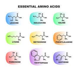 Educational colorful set of illustrations – 9 essential amino acids with molecular structures and functions. ideal for science, nutrition, biology, health focused on protein synthesis and metabolism.