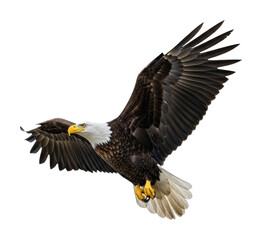 Naklejka premium Majestic eagle flying over scenic landscape wildlife nature isolated on transparent background