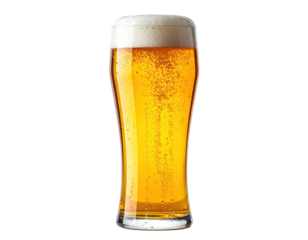 A tall, elegant glass of golden beer with a frothy white head, isolated on black