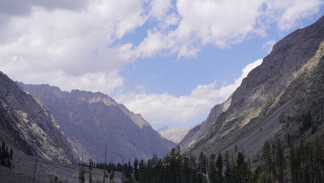 Dramatic deep mountain valley with steep rocky cliffs and dense evergreen forest, immensity concept.