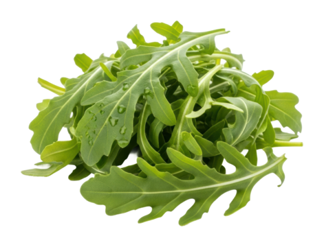 Fresh arugula leaves organic farm food isolated on transparent background