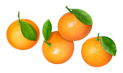 Fresh tangerines with green leaves falling on white background. Citrus fruit