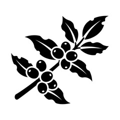 Coffee Berry Branch Design, Black Silhouette on White Background